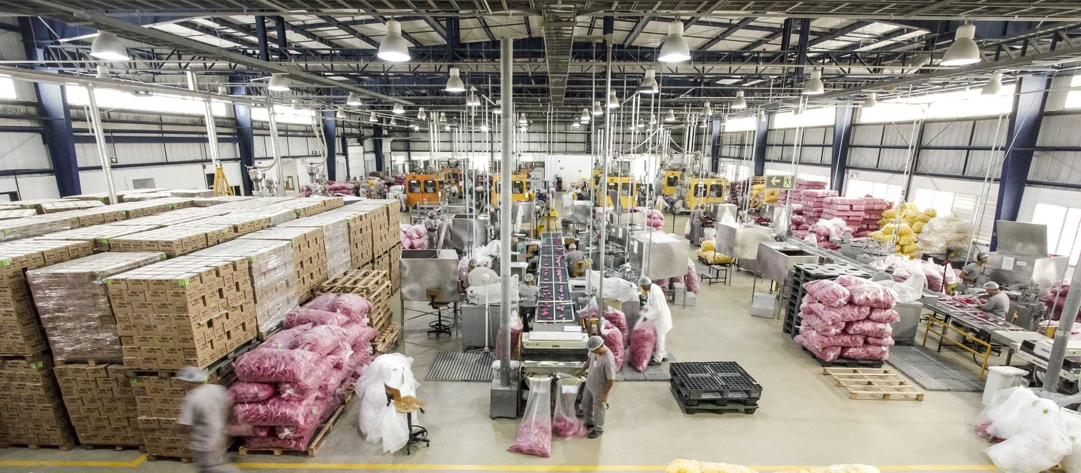 Foto de Leite de Rosas